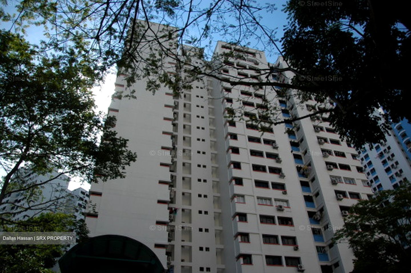 Blk 534 Panshan Grove (Bukit Panjang), HDB 4 Rooms #623058201